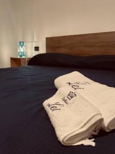 基瓦索Hd Guesthouse的床上有两条毛巾