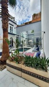 马拉喀什Riad VIP Bed & Breakfast的一座带游泳池和棕榈树的房子