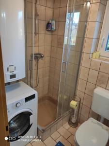Feistritz im RosentalNice small house in beautiful Carinthia的带淋浴和洗衣机的浴室