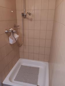 兰克韦尔Ländlezimmer的带淋浴和浴缸的浴室
