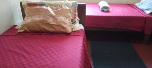 Daliko Farm的两张带粉红色床单和枕头的床