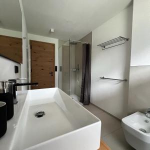 安泰塞尔瓦·迪·梅佐Chalet Bergfuchs的白色的浴室设有水槽和淋浴。