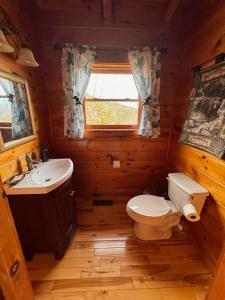 鸽子谷Smoky Paws - 5-star Cabin, Stunning Mountain Views, New Hot Tub, Tranquil, Gigabit Internet, Free L2 EV的一间带卫生间和水槽的小浴室