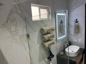 佩尼亚斯科港Urban Hotel El Ancla Suites - Apartment 3的带淋浴、卫生间和镜子的浴室