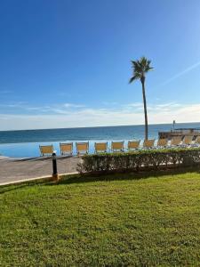 佩尼亚斯科港Sonoran Sky Resort Vista a Playa Azul的海滩边一排长椅,有一棵棕榈树
