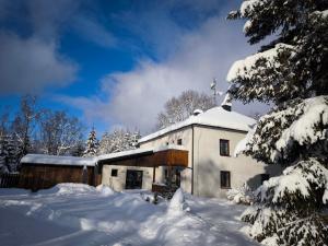 霍尼普拉纳Apartmány Lipno-Hory的一座被雪覆盖的建筑,有雪覆盖的树木