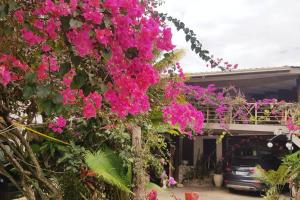 南迪Central Nadi - Lodge 2的房子前面的一束粉红色的花