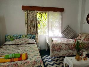南迪Central Nadi - Lodge 2的一间小卧室,配有两张床和窗户