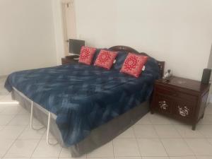 巴拿马城Habitación Frente a la Bahia con baño privado的一间卧室配有蓝色的床和红色枕头