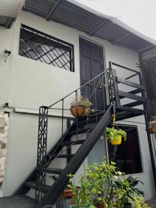 奎波斯城SelvaToSleep的一座房子里两棵盆栽植物的楼梯