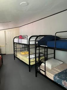 奎波斯城SelvaToSleep的一间设有三张双层床的客房