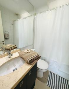 圣地亚哥Arauco Premium Suite的一间带水槽、卫生间和镜子的浴室