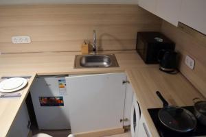 阿斯塔纳Yes Апарт-отель的一个带水槽和小冰箱的小厨房