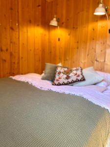 SkjåkStallen - koselig lite hus på gårdstun的一间卧室配有一张带两个枕头的床