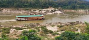 北宾Mekong Backpackers的一条河上树木茂密的渡船