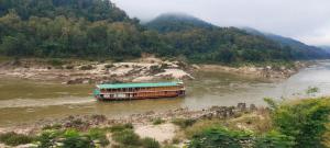 北宾Mekong Backpackers的一条在河上带绿色屋顶的船