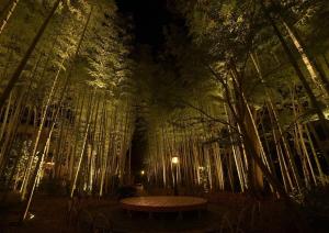 伊豆千千结旅舍的公园在晚上有长凳和树木
