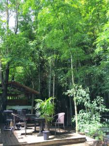 箱根Hakone Mori No Yado " vintage lodge in the nature of HAKONE"的庭院配有桌椅和树木