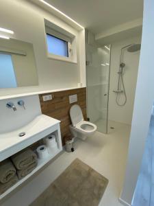 巴特塔茨曼斯多夫Ferienwohnung Simon的浴室配有卫生间、盥洗盆和淋浴。