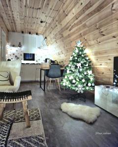 布朗Zibran Cabane的客厅里放着圣诞树