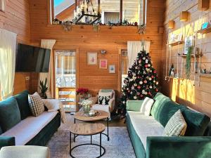 科拉欣Monte Chalet Kolašin的客厅配有圣诞树和沙发