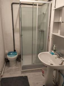 莫雷兹Appartement cosy et chaleureux的带淋浴、卫生间和盥洗盆的浴室