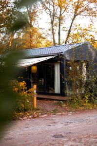 宁斯佩特Vague Luxurious Tiny House Luxe Wellness, Spa Bad,Beamer, Veluwe的树林中带太阳能屋顶的小房子