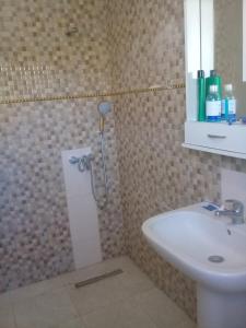 比塞大petite maison à louer à la forét de corniche Bizerte的带淋浴和盥洗盆的浴室