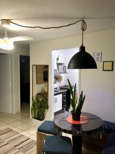 伊塔尼亚恩Apartamento Belas Artes Itanhaém的厨房里摆放着盆栽植物的桌子