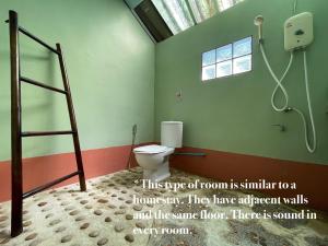 库德岛Mangrove bungalow & restaurant的一间带梯子和卫生间的浴室