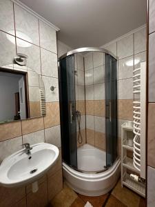 赖曼瑙-兹德鲁伊Dom Pod Lipą的一间带水槽和淋浴的浴室