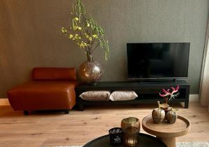 吕伐登RESIDENCE LEEUWARDEN的客厅配有电视和花瓶