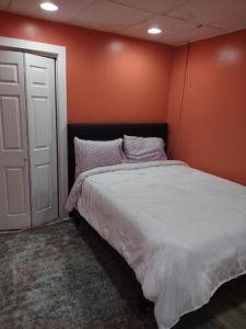 埃尔迈拉Unique Center Of Downtown Elmira的一间卧室配有一张橙色墙壁的床