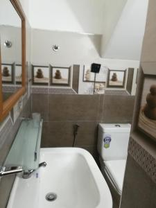 哈普特莱Dinu Homestay的一间带水槽、卫生间和镜子的浴室