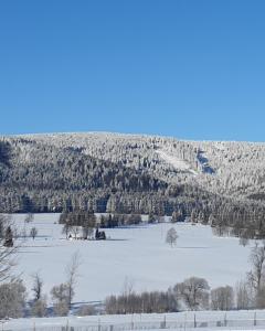 LasowkaKomfortowy dom z bali koło Zieleńca z widokiem na góry的一片覆盖着树木和山脉的雪地