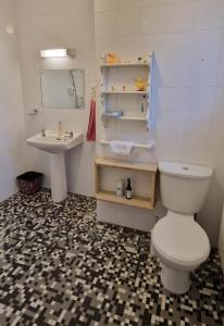 基尔代尔The Veterinary @ Kildare Village的一间带卫生间和水槽的浴室