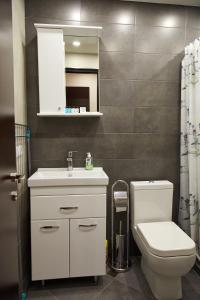 埃里温Residence North Avenue, Teryan 8 , apt14 3的浴室配有白色水槽和卫生间。