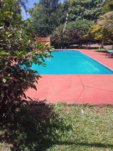 伊瓜苏港RESIDENCIAL LOS AMIGOS的一座红色和蓝色的游泳池