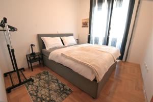 萨莫博尔Apartman Gajeva的一间卧室设有一张床和一个大窗户