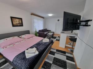 格赖因Pension DonauBlick Grein 2 in Stifterstrasse 19A的一间卧室配有一张床和一台平面电视