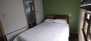 蓬塔阿雷纳斯Apartamento Vista al Estrecho的一间小卧室,配有一张床和绿色的墙壁