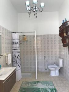 托泽尔Dar Medina Tozeur的带淋浴、卫生间和盥洗盆的浴室