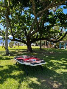 圣塞巴斯蒂安Porto Grande Hotel & Convention的树下草桌上的冲浪板