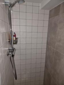 贝克贝亨Logeren bij Sabine en JW的带淋浴的浴室(带瓷砖墙)