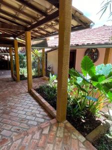 瓜佩Pousada do Lago Dutra的户外庭院,设有砖砌的植物走道
