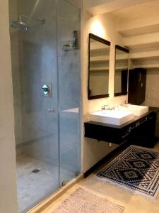 SandtonMalinga GuestHouse的一间带水槽和淋浴的浴室
