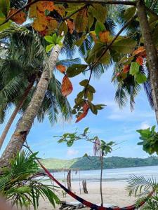 Locaroc8 Star Paradise的享有棕榈树海滩和大海的景色