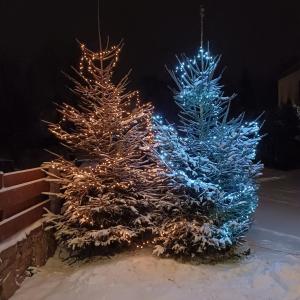 克罗奇琴科Willa Trzy Podkowy的两棵圣诞树,装饰有雪上的灯光