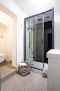 GratweinModerne 2-Zimmer Wohnung的一个带水槽的玻璃淋浴间
