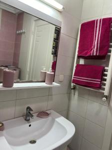 突尼斯Appartement L'aouina cité wahat的浴室设有水槽、镜子和粉红色毛巾